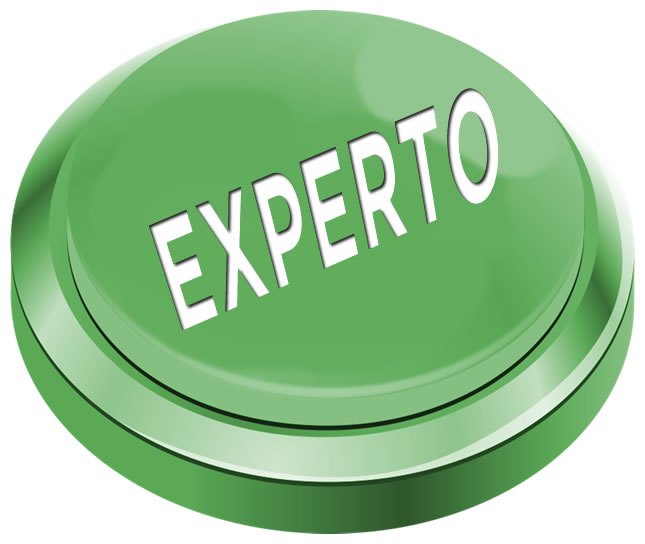 experto2